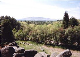 Monadnock 1999